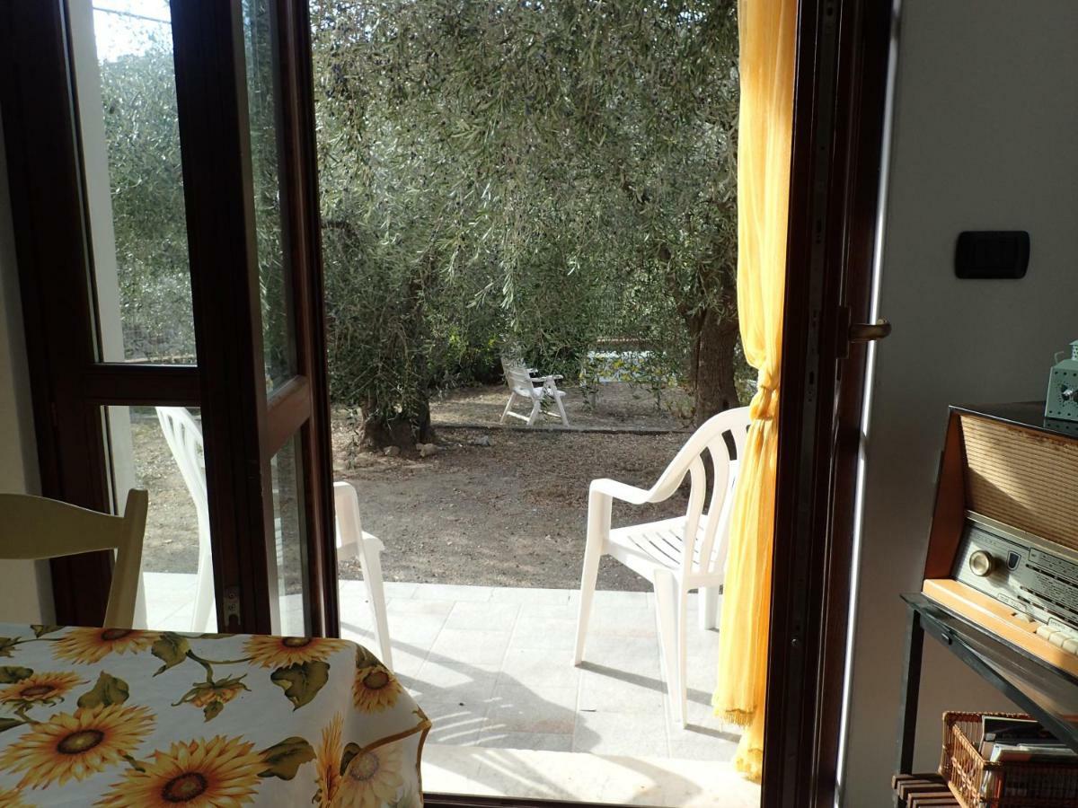 Casetta Tra Gli Ulivi Vicina Al Mare Giustenice Exteriör bild